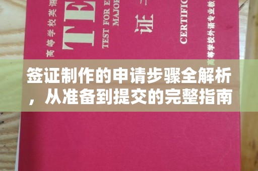 南充签证制作的申请步骤全解析，从准备到提交的完整指南