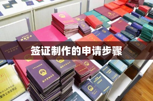 南充签证制作的申请步骤