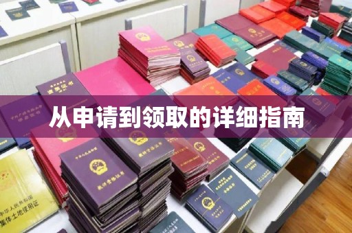 南充从申请到领取的详细指南