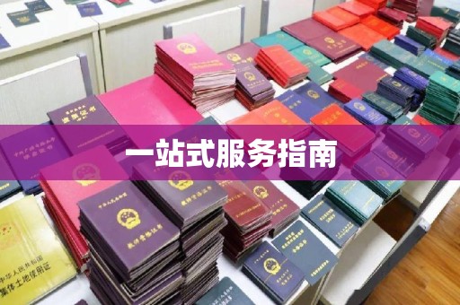 南充一站式服务指南