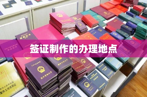 南充签证制作的办理地点
