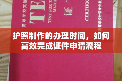 南充护照制作的办理时间，如何高效完成证件申请流程
