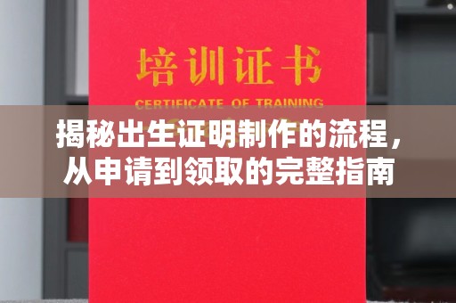 南充揭秘出生证明制作的流程，从申请到领取的完整指南