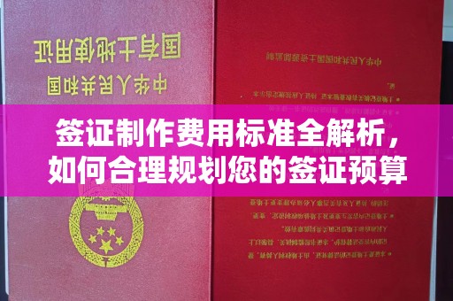 南充签证制作费用标准全解析，如何合理规划您的签证预算？